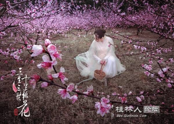 三生三世十里桃花《思慕》@嘉哥201703