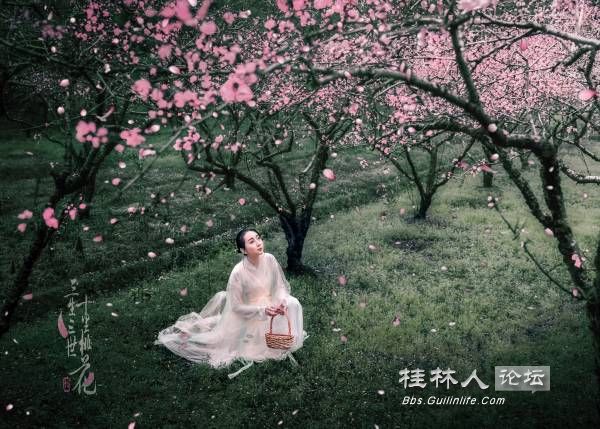 三生三世十里桃花 思慕 嘉哥201703