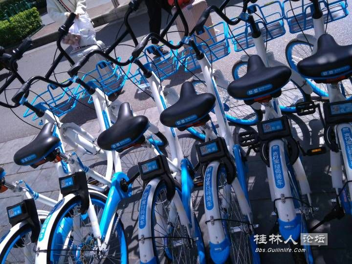 桂林共享单车都有“蓝朋友”了你还单身吗？84 / 作者:糕富帅 / 帖子ID:237797