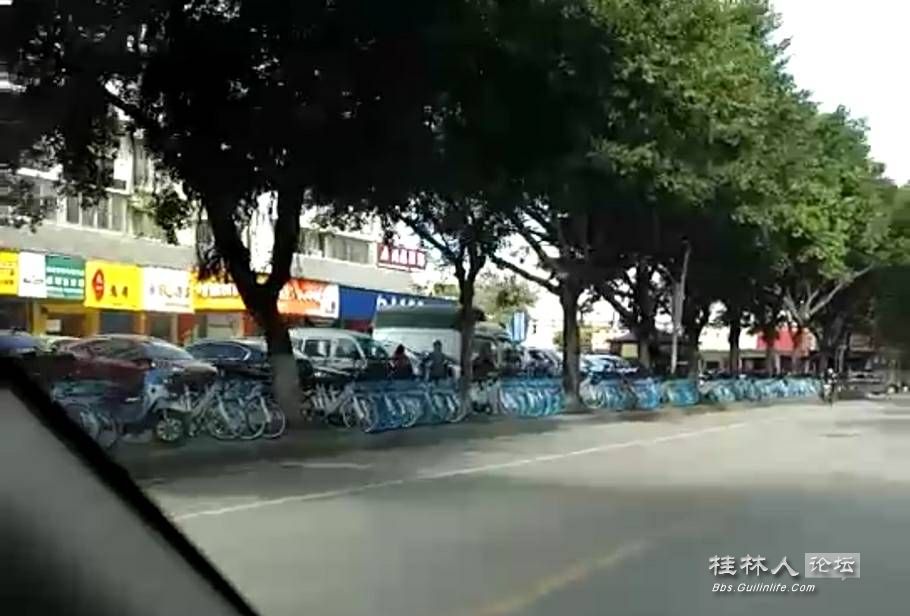 桂林共享单车都有“蓝朋友”了你还单身吗？104 / 作者:糕富帅 / 帖子ID:237797