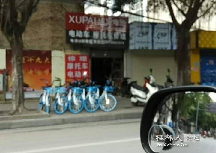 桂林共享单车都有“蓝朋友”了你还单身吗？882 / 作者:糕富帅 / 帖子ID:237797